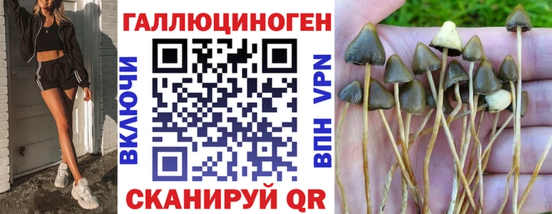 Псилоцибиновые грибы MAGIC MUSHROOMS  Раменское 