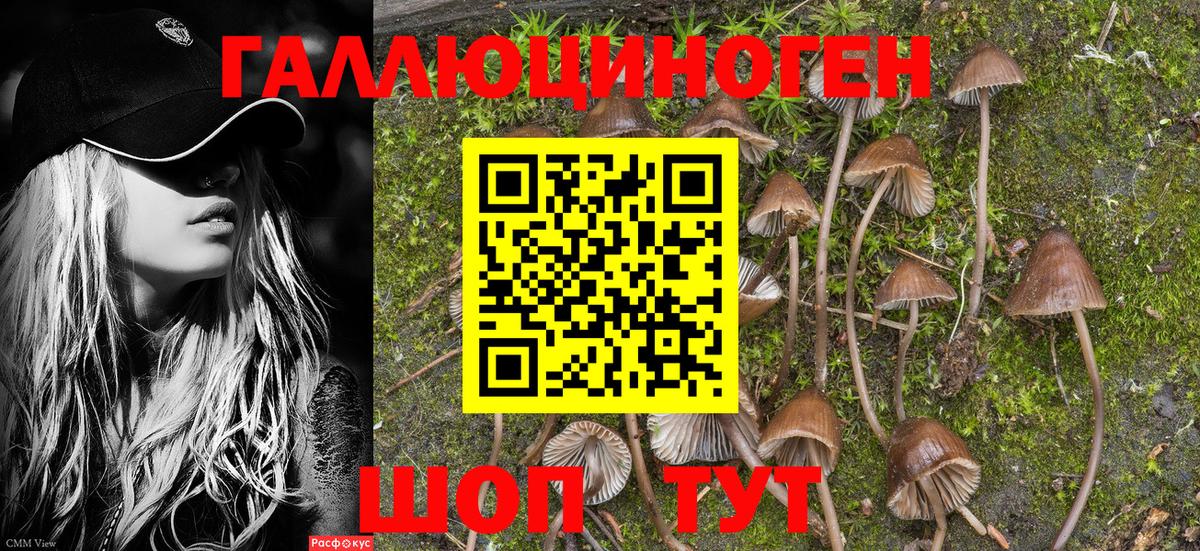 Галлюциногенные грибы мухоморы  Вход с VPN  Раменское 