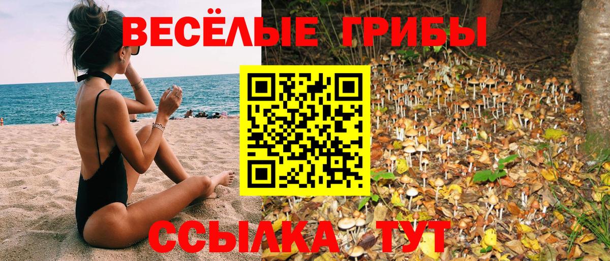 Галлюциногенные грибы мухоморы  Раменское 