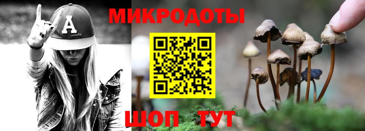 Галлюциногенные грибы GOLDEN TEACHER Раменское